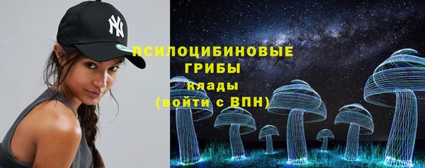 spice Нязепетровск