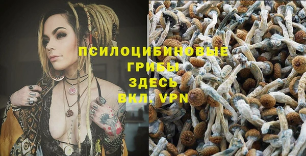 spice Нязепетровск